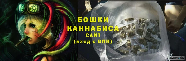 молекула духа Богородск