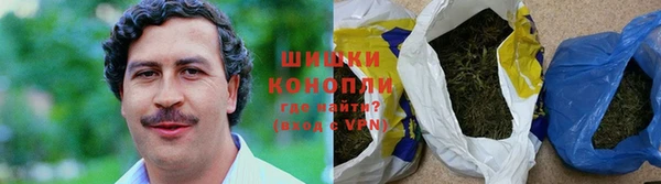 PSILOCYBIN Балахна