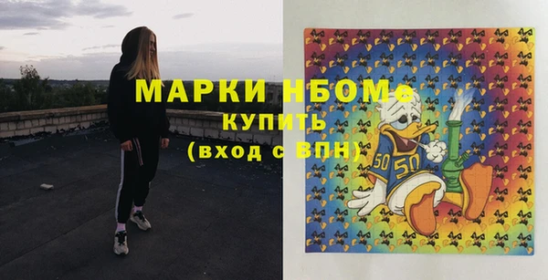 молекула духа Богородск